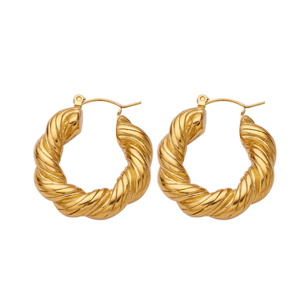 Trendy 18k Gold Plated Stainless Steel Earrings