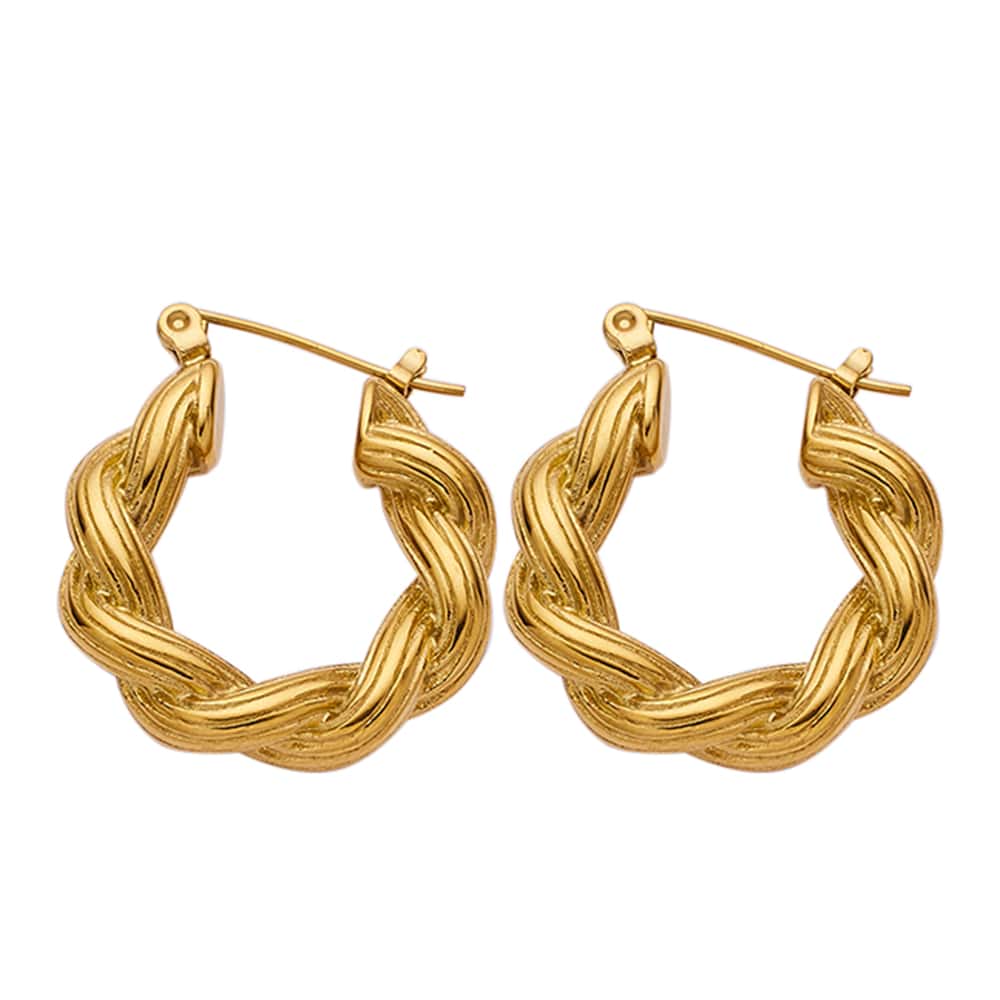 Trendy 18k Gold Plated Stainless Steel Earrings